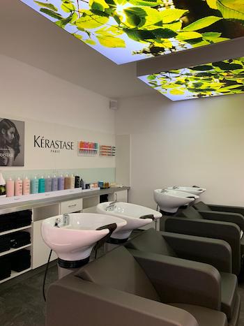 Salon 1